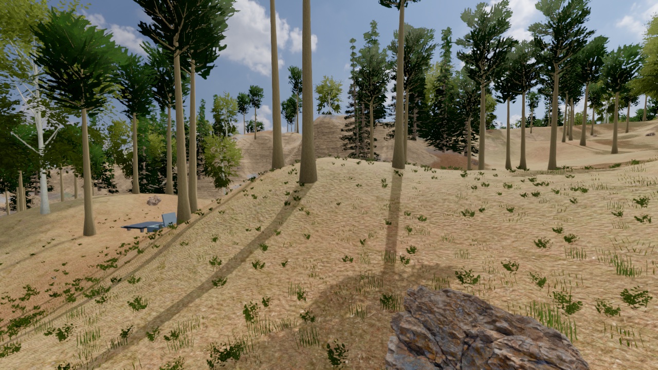 Sunlit woodland and rocky ground in Diod’s Earth-generated landscape